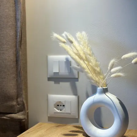 Ion Guest house