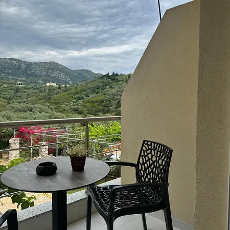 Guest house Ion