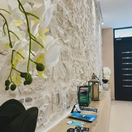 Guest house Ion