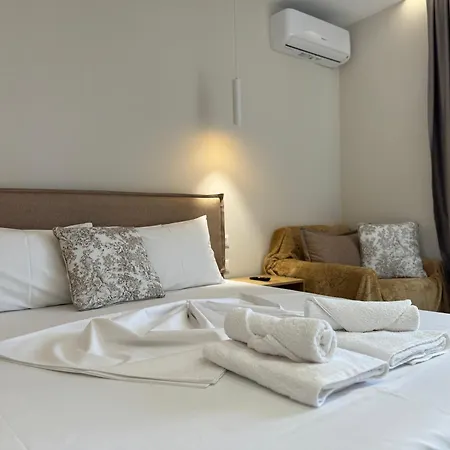 Guest house Ion *