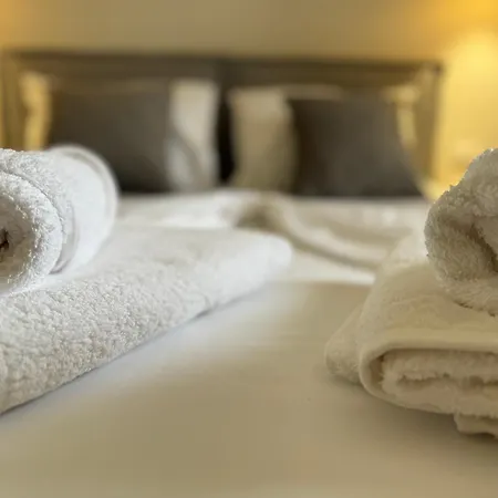Guest house Ion